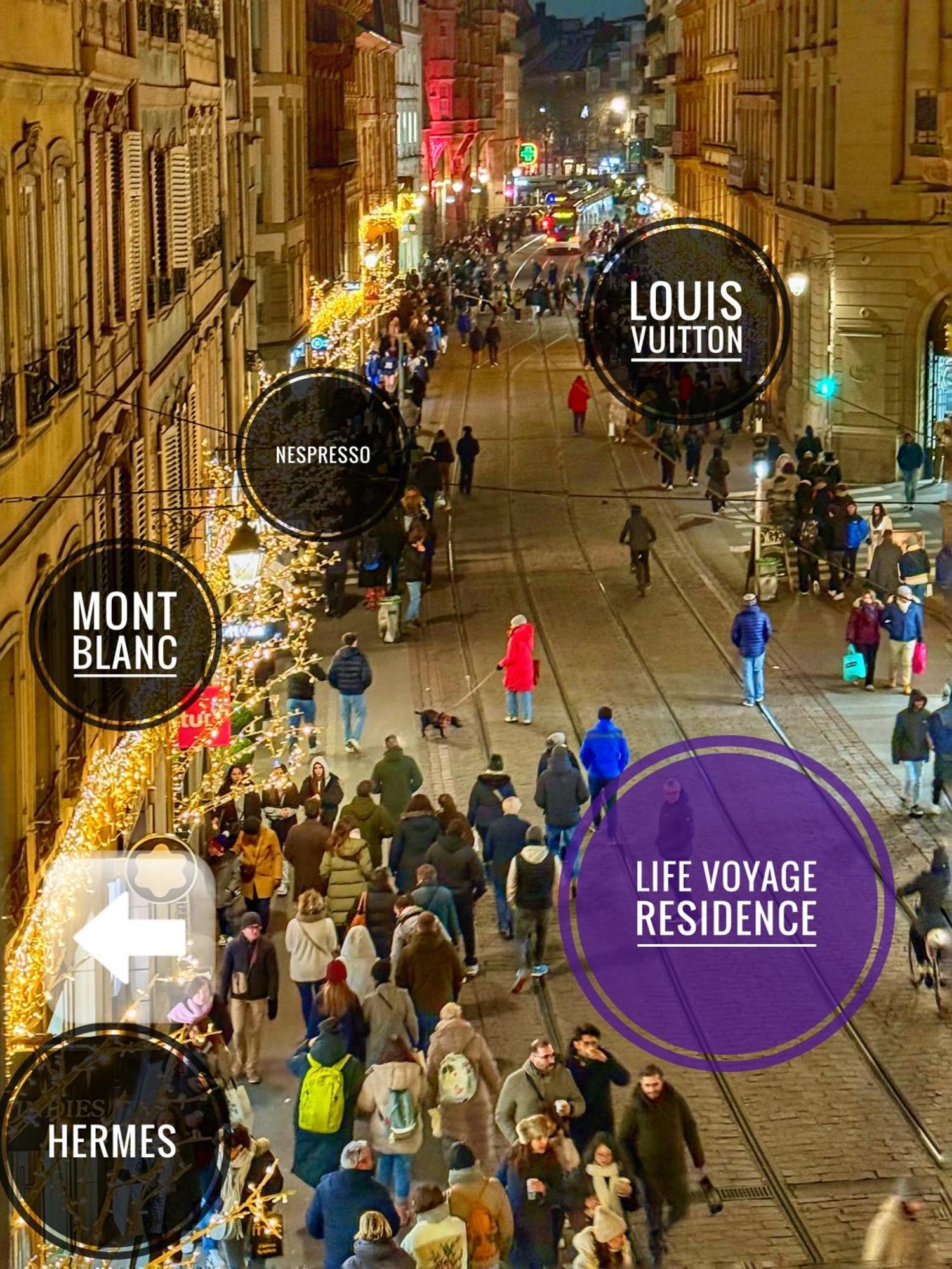Life Voyage Residence & Spa - Strasbourg'S City Center Luxury Experience Eksteriør bilde